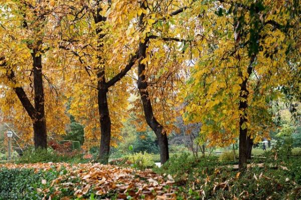 「人生篇」誰的人生沒有苦難！只是心態不一樣而已…