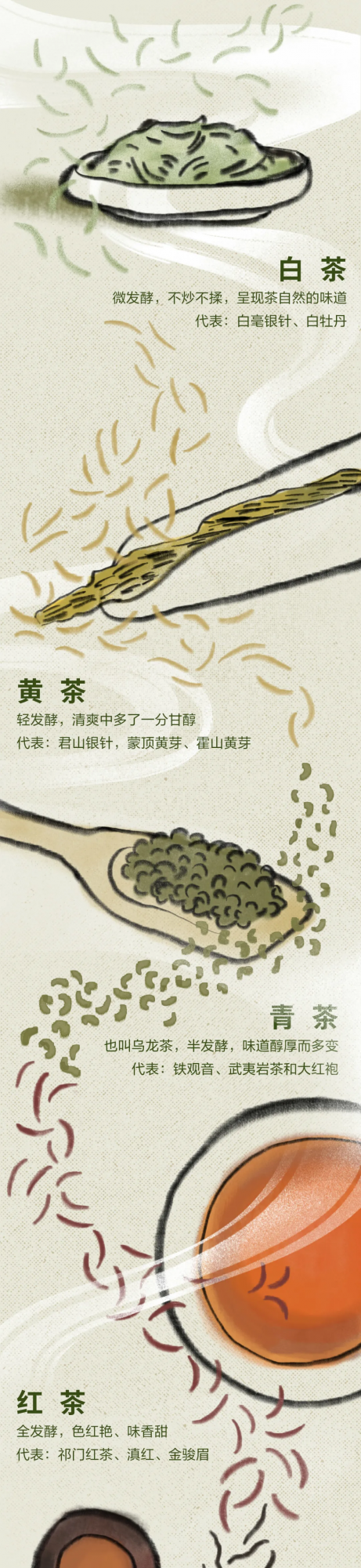 經常喝茶，好處有多大？