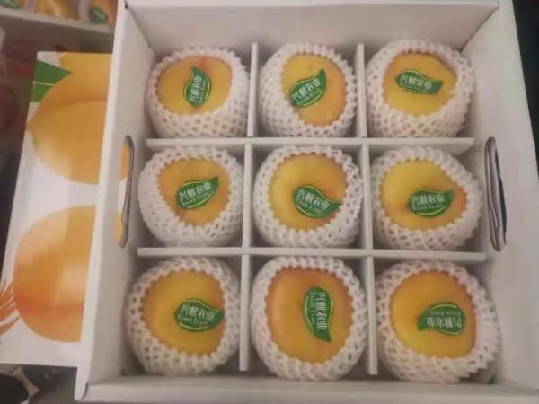 鄉村振興，依然在路上