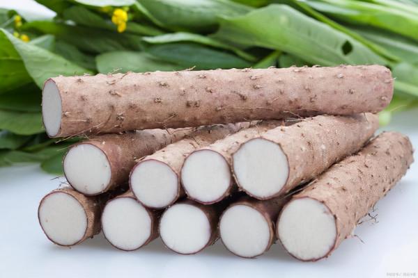 漫談&OpenCurlyDoubleQuote;藥食同源&rdquo;