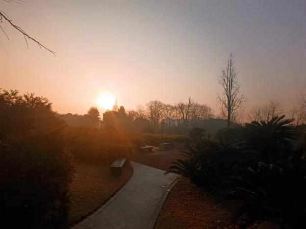 植物園的動物 植物園的動物