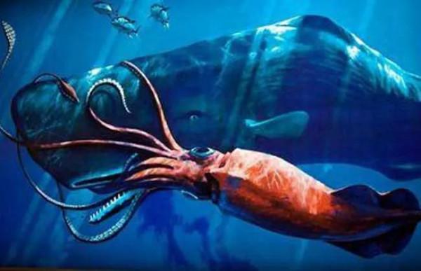 這種石頭價格不菲,卻人們被新增到香水裡面去 這種石頭價格不菲,卻人們被新增到香水裡面去