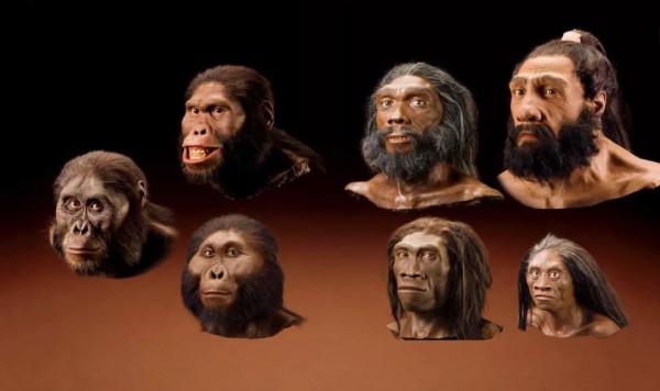 《國家地理人類進化史：智人的天性》：完整展現人類進化史，啟發變革和創新思維