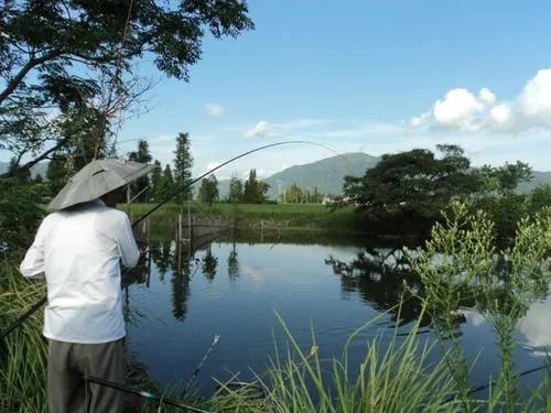 冬季外出野釣,找好這幾種地方,天然形成的魚窩,連著上魚不停歇 冬季外出野釣,找好這幾種地方,天然形成的魚窩,連著上魚不停歇