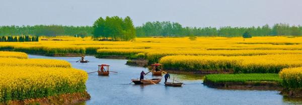 農村土地升值，你家有多少畝地？每人1畝地，算多還是少？