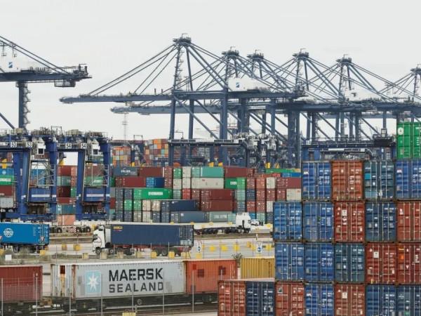 蔬菜自由懸了!全球供應鏈緊張已經蔓延到各個行業 蔬菜自由懸了!全球供應鏈緊張已經蔓延到各個行業