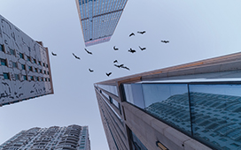 綠城中國：贖回共計5億美元高階永久資本證券