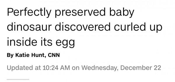 讀CNN學英語：恐龍胚胎化石