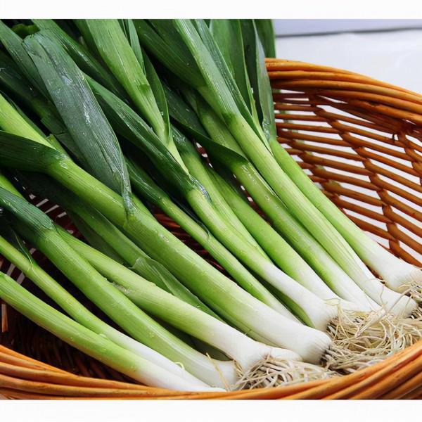 12月，抓緊吃“冬天第一鮮”，做法簡單，香味濃郁，一上桌就搶光