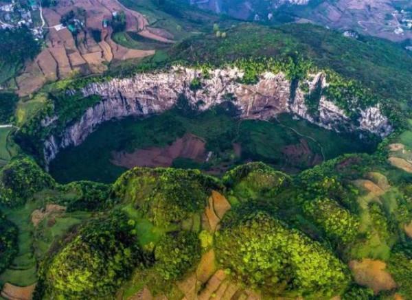 消失128年！極危物種重現雲南天坑，科學家正搶救性採集