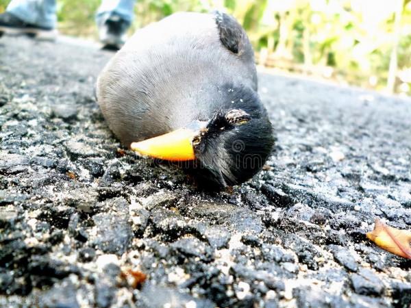 女兒，不要再賭了