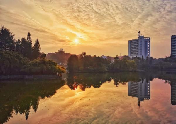 火了！中國工程院、中國科學院、挪威科學院院士紛紛到訪這所高校