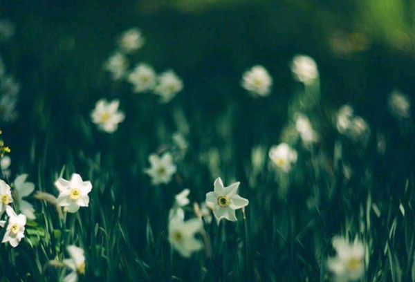 識人：心眼壞的人身上常有的幾個特徵，遇到小心提防