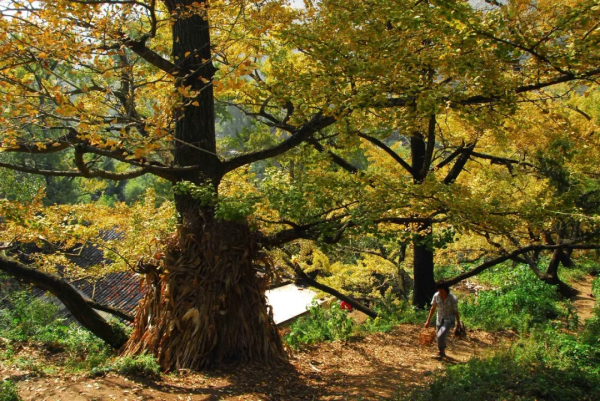 10個藏在深山不為人知的古村落，竟是絕美的“世外桃源”