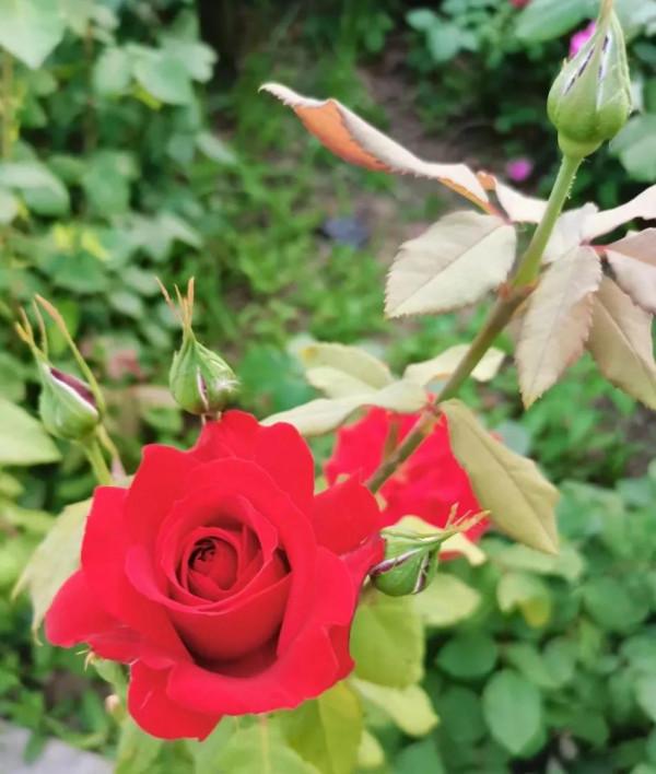 房地產，永遠無法預知的下半場