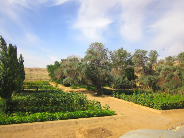 路迢迢、沙漫漫，見證戈壁一座雷達站裡的愛情故事……