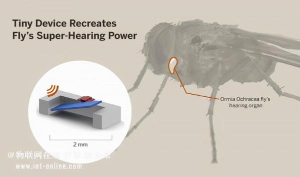 蒼蠅聽覺靈感打造新一代的智慧免電池助聽器 蒼蠅聽覺靈感打造新一代的智慧免電池助聽器