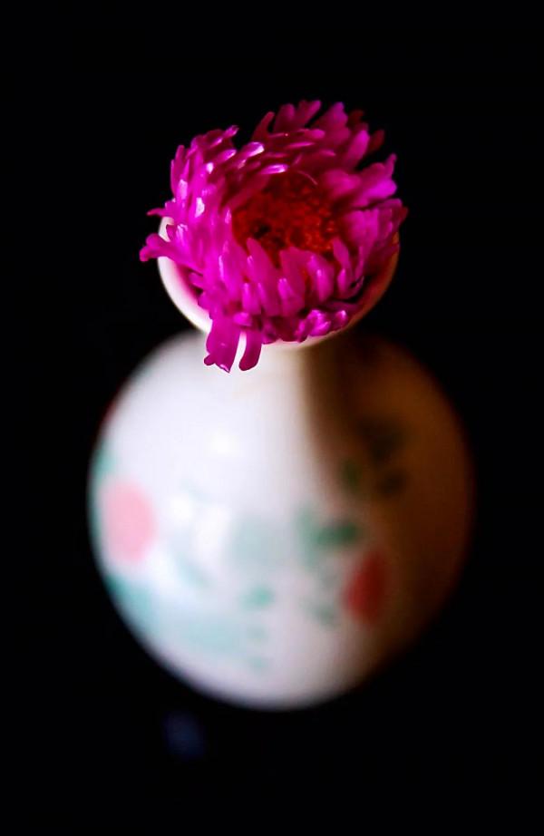 淡泊寧靜 守住人生最美風景