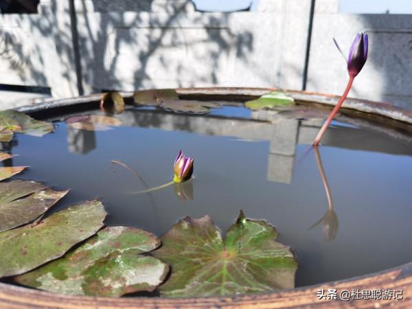 漢EV自駕湖南,停車充電逛景區,永州高山寺值得一遊 漢EV自駕湖南,停車充電逛景區,永州高山寺值得一遊