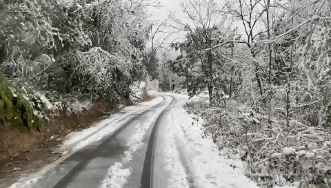 元旦最強攻略出爐！小眾美景、愜意度假、全家出遊都有，拿走去耍