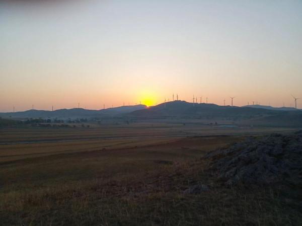 滿目金黃，又想壩上草原了（二）