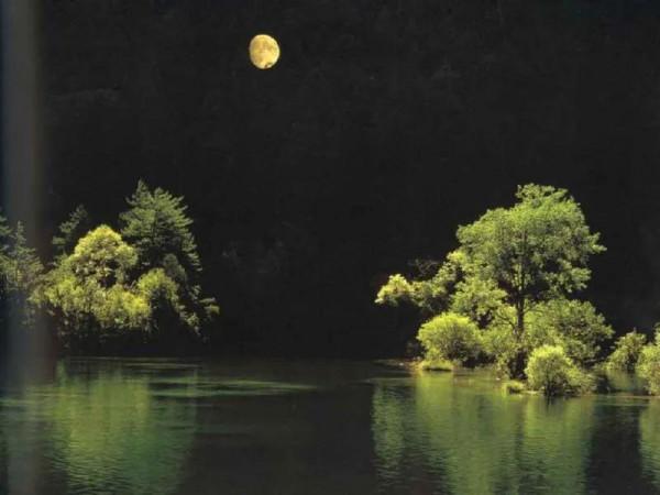 月下獨釣之垂釣江湖