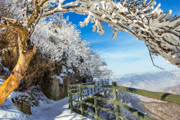 沒有雪的冬天是不完整的！天蒙飄雪日競猜，贏景區門票，共赴一場風華雪月的浪漫之旅！