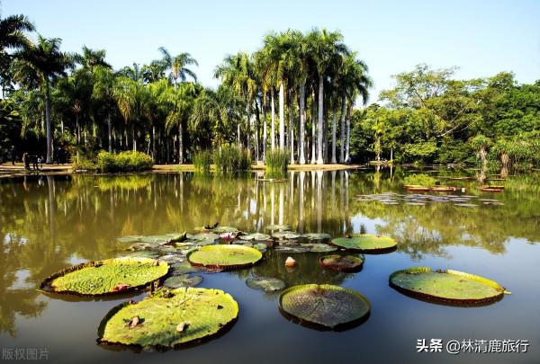 雲南5個宜居城市,養老就在其中選!醫療發達,全年不用開空調 雲南5個宜居城市,養老就在其中選!醫療發達,全年不用開空調