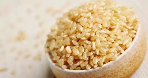 減肥不能吃主食？這5種主食，讓你吃飽又能瘦