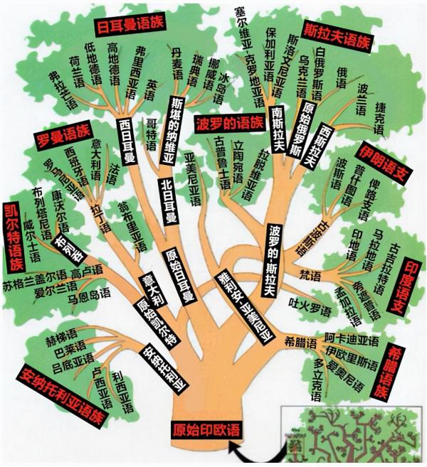 語言的“家譜” 語言的“家譜”