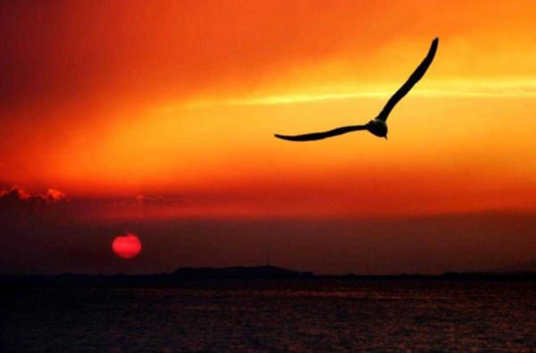 辛丑季秋散詞的悟思·18