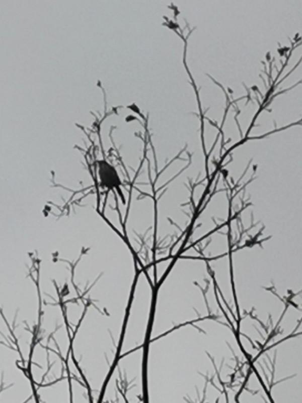 你常有與孩子有效溝通嗎？