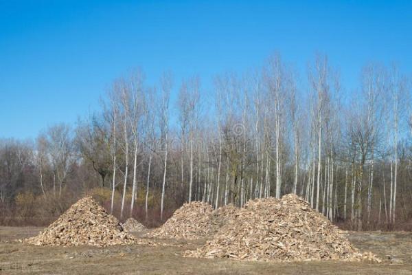 好事:有人在農村大量收購碎木,5種用途可以讓碎木變廢為寶 好事:有人在農村大量收購碎木,5種用途可以讓碎木變廢為寶