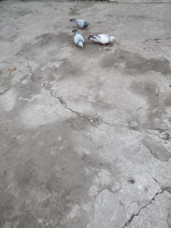 這個冬天不太冷