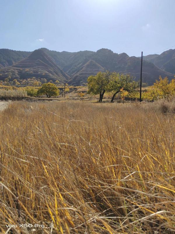 一路走來一路拍，只是想把美景分享給朋友們