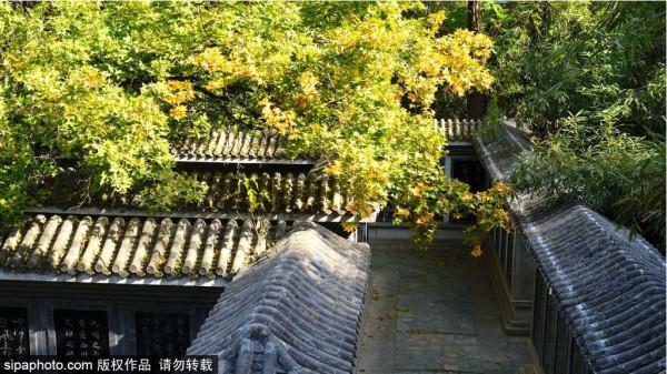 國慶嗨遊京城 | 16號線之旅 國慶嗨遊京城 | 16號線之旅