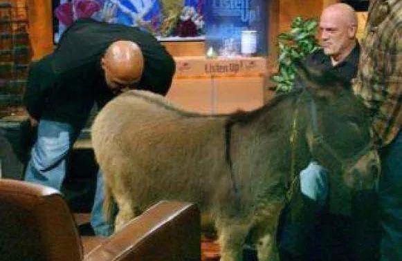 足球名記說山東泰山超過恆大國安就喊郝偉“爹”，現在機會來了