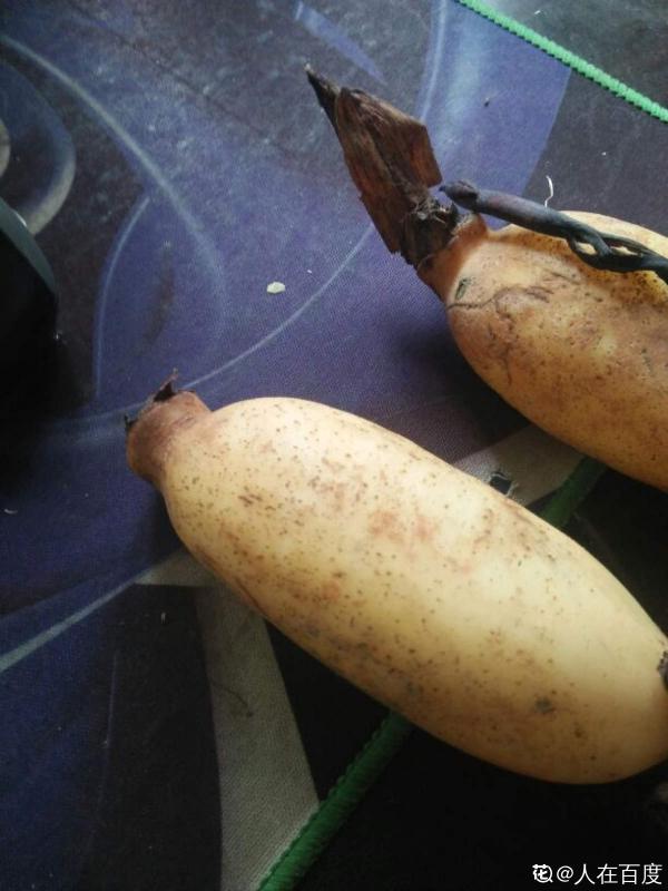 天氣一涼,吃這6種蔬果特養人,關鍵是在家也能種 天氣一涼,吃這6種蔬果特養人,關鍵是在家也能種