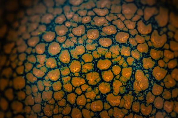 失傳數百年的宋代鷓鴣斑，竟被76歲老人復燒成功，釉水封藏22年