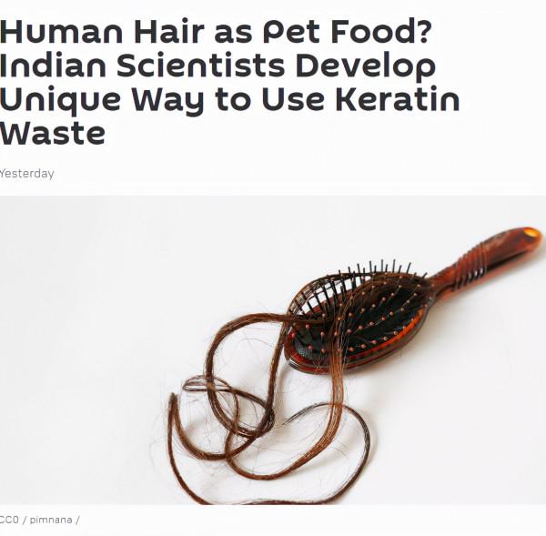 人的頭髮當寵物食品？印度科學家開發新技術，可將角蛋白變廢為寶