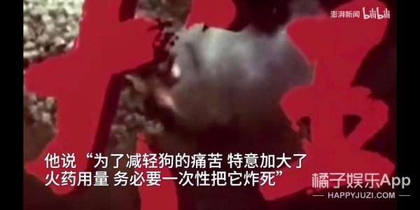 於正劇組淹死鸚鵡毒死貓,《當家主母》P影片回應?炒作無下限? 於正劇組淹死鸚鵡毒死貓,《當家主母》P影片回應?炒作無下限?