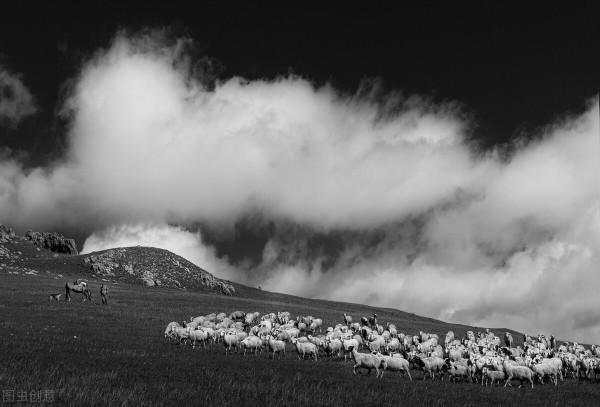 圖片分享一一乎倫貝爾大草原美景