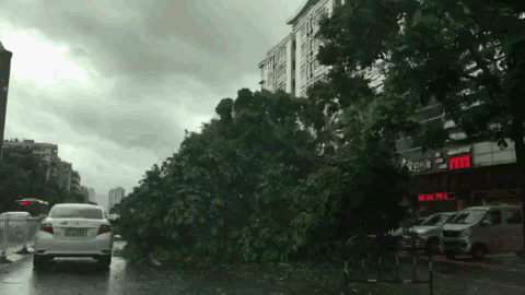 為何登陸我國的熱帶氣旋叫颱風，登陸美國的叫颶風？兩者誰更強？