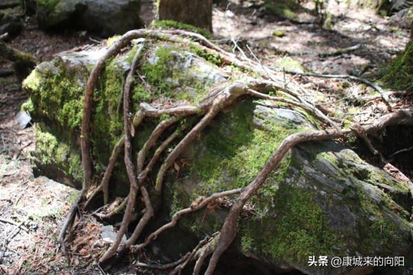 這條徒步線路太美了，這線路適合想去而沒有去過高原的人