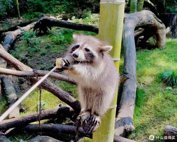 人生只合住湖州!景美,好吃,消費低!記3天2晚慢生活之旅 人生只合住湖州!景美,好吃,消費低!記3天2晚慢生活之旅