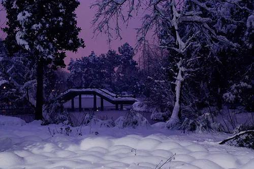 白居易半夜被凍醒後，發現下大雪，寫下一首詩