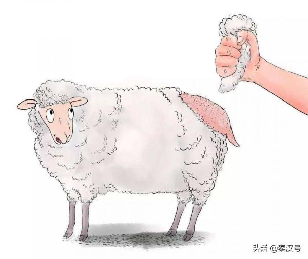 美屬維爾京，買來就得負責，想讓我獨立？門都沒有，薅羊毛薅死你