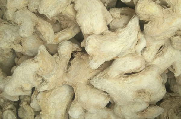 千古溫中健脾名方——附子理中丸 千古溫中健脾名方——附子理中丸