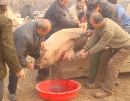 （懷舊）臘八印象