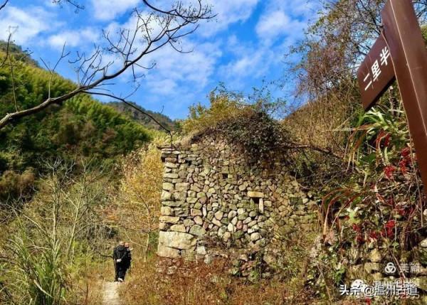 這條被譽為“浙江西南第一嶺”的紅楓古道你去過嗎？